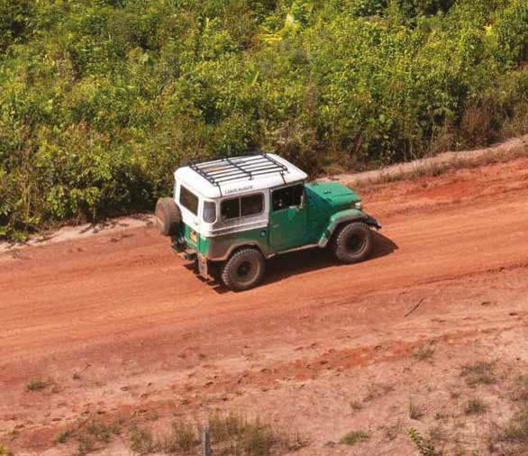 Campero Willys verde en una carretera de tierra roja en el Meta